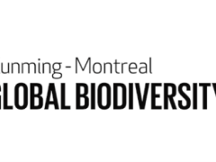 Logo Kunming-Montreal Global Biodiversity Framework