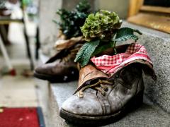 schoenen als bloempot