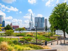 Foto van groen in de ruimte in Rotterdam