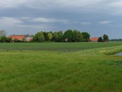 A large scale arable landscape in the Netherlands