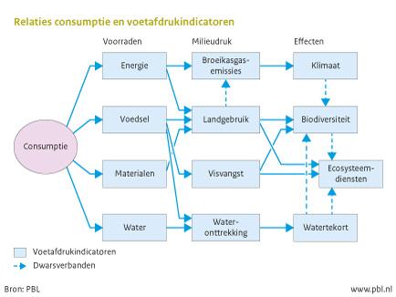 Figuur: schematische weergave van de relaties tussen consumptie en ecologische voetafdrukindicatoren (PBL)