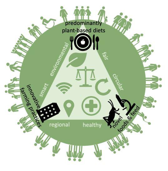 A diagram showing food options for nitrogen, environment & health