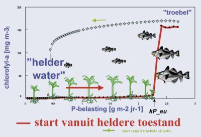 Figuur: schematische weergave van hysteresis effect in meren bij dalende fosfaatbelasting, start vanuit een heldere toestand