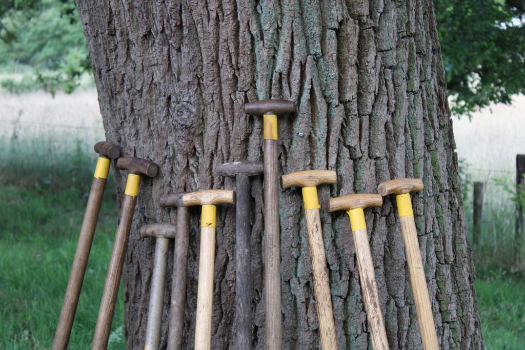 Foto schopstelen tegen een eik - samenwerken aan landbouw en natuur