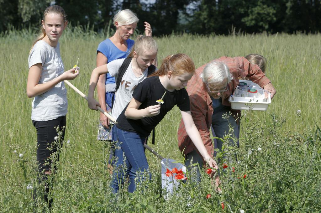Grootouders en kleinkinderen onderzoeken de natuur