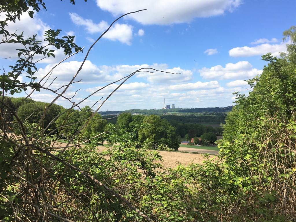 Mixed landscape in Germany