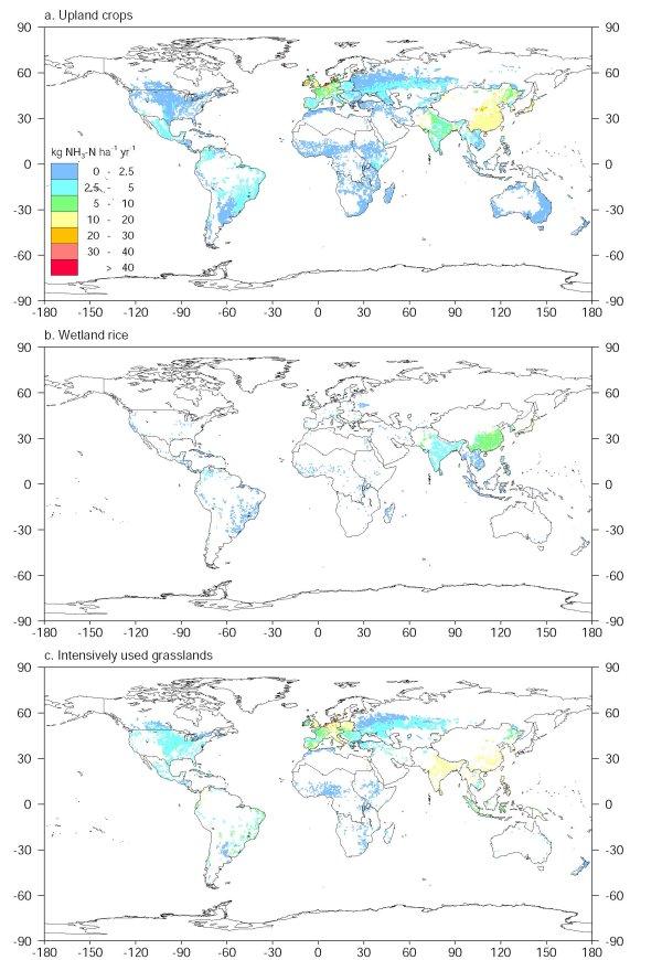Figure 2 : 3 world maps with the estimated annual NH3 volatilization loss for 1995 from animal manure used in upland crops (1), wetland rice fields (2) and grasslands (3)